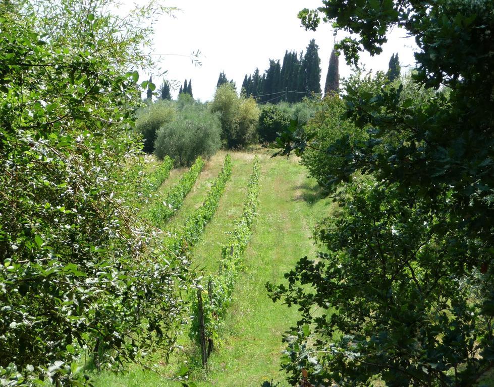 A Casa di Lizzy B&B Monte Lopio Esterno foto